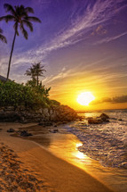palm trees and sunset on a tropical beach 