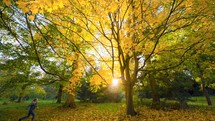 Amidst fall colors filling the park, a girl runs joyfully, surrounded by golden autumn leaves, embracing the beauty of the season.