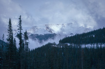 Snowy cloudy mountain peak landscape with evergreen tree forest in Arapaho National Forest, Colorado