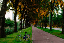 bike parked along a tree lined street 