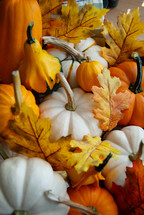 fall background with pumpkins and leaves 