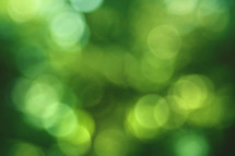 Green Spring Bokeh Earth Day Background