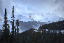  Snow capped mountain landscape near evergreen trees in Apraho National Forest
