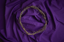 Full crown of thorns on a purple cloth background