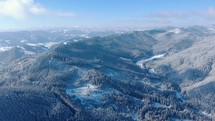Panoramic View Of Dense Forest Mountains In Snowy Winter. Aerial Drone