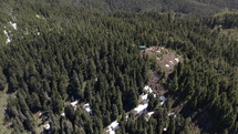 Old growth forest with snow remaining - aerial view of forest in spring