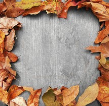fall leaf border with negative space wood background