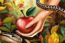 A Hand holding Apple in a Forest with Leaves