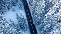 Aerial static shot over snow covered trees In a winter forest.