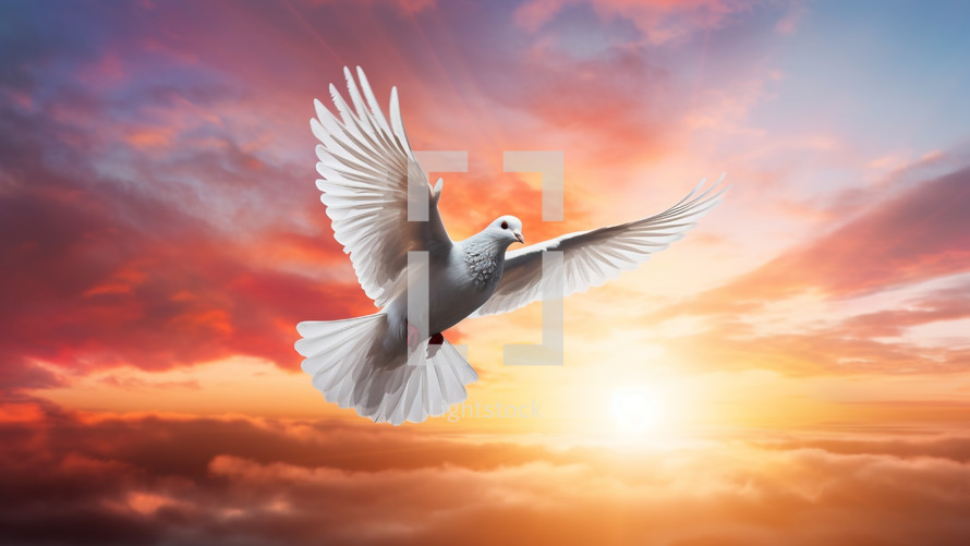 Dove flying and spreading the good news of resurrection