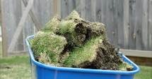 Shoveling sod grass into wheel barrow - from behind - close up