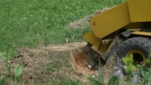 Slow Motion Stump Grinder Chewing Up A Stump