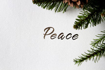 peace and pine branches 