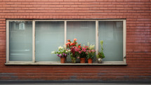 House window with minimalistic flower decorations