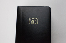 A black Bible on a white background.
