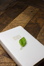 A green leaf on a white Bible laying on a wooden table.