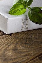 A sprig of green leaves on a white Bible laying on a wooden table.