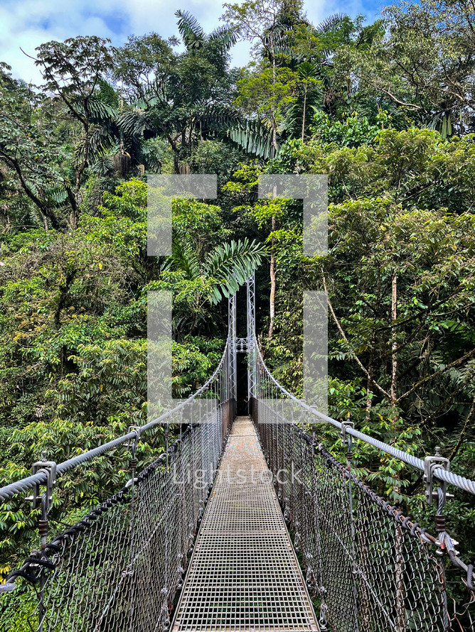 Monteverde Cloud Forest Reserve, hanging, suspended bridge, treetop canopy views, Costa Rica.