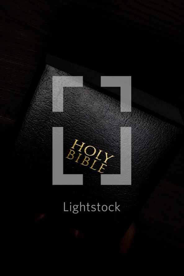A black Bible with gold lettering.