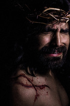 wounds of Christ 