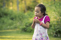 girl child blowing a dandelion 
