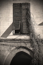 old shutters in a window and vines 