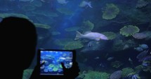 Woman taking fish pictures with pad in oceanarium