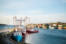 Shrimp boats docked in a cove.