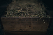 The manger filled with hay