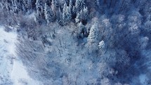 Snowy forest in the mountains aerial