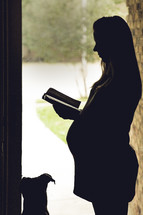 silhouette of pregnant woman reading a Bible and a dog 