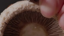 Mushroom Close-Up Cut With A Knife