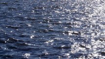 lake ripples 