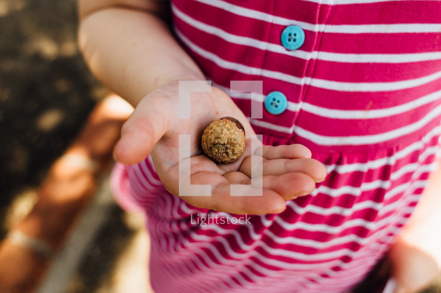 a little girl holding an acorn 