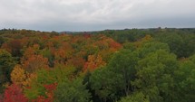 Michigan Aerial Fall Color Flyover