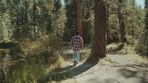 a man hiking in a forest 