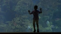 View of small blond boy standing near aquarium with crabs