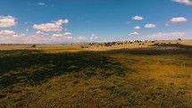 Aerial lapse over New Mexico wildflowers