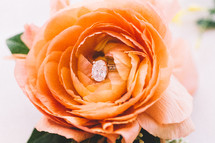 diamond ring in a peach rose 