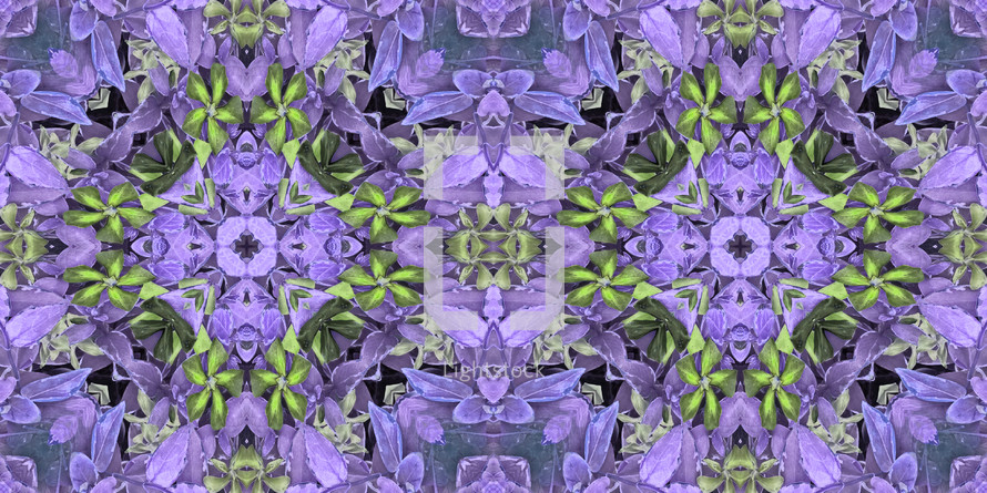 altered and kaleidoscoped garden flowers in double medallion pattern, seamless tile