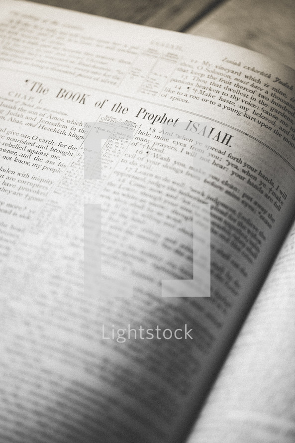 The Book of the prophet Isaiah 