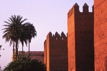 castle walls and palm trees 