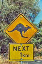 Kangaroo crossing 