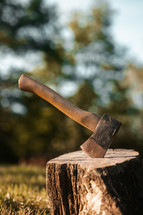 Axe in a tree stump, log cutting lumberjack tools