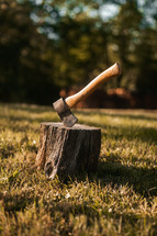 Axe in a tree stump, log cutting lumberjack tools