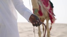 Cameleers hand leading camel in the desert
