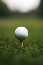 Golf ball on a grass golf course