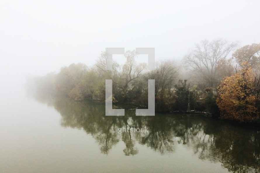 fog along a river bank 
