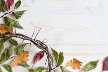 fall leaves and crown of thorns on a white wood background 