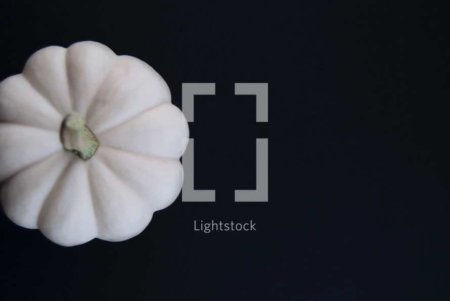 white pumpkin with copy space 